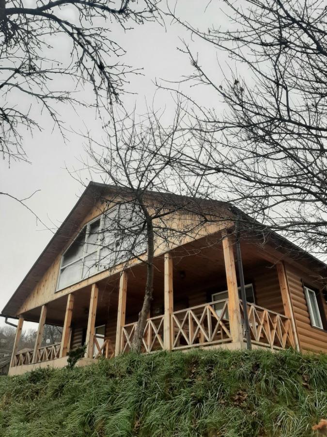 Гостьовий Дім На Герцена Guest Hous On Gertsena Hotel Novhorod-Siverskyi Buitenkant foto
