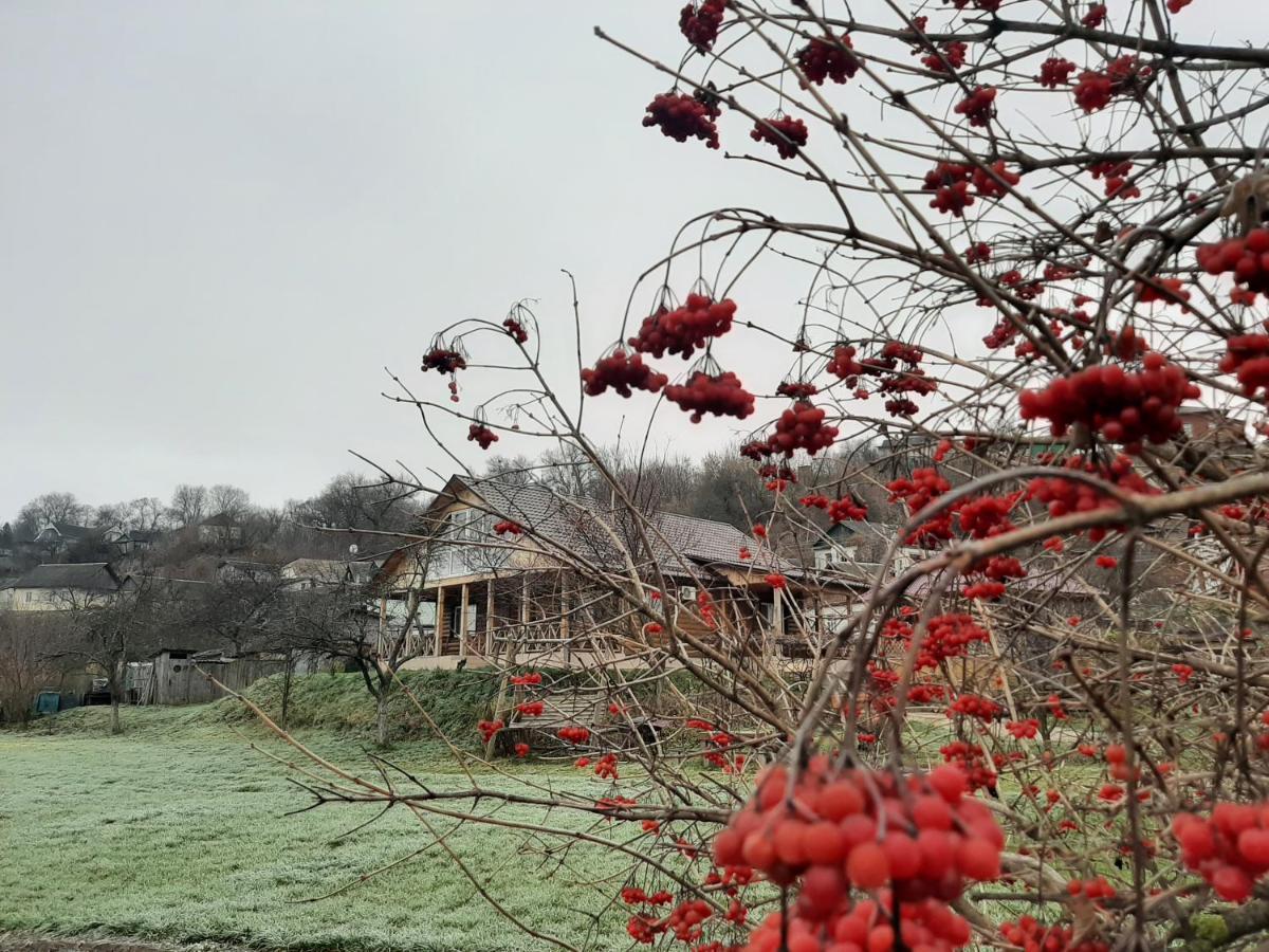 Гостьовий Дім На Герцена Guest Hous On Gertsena Hotel Novhorod-Siverskyi Buitenkant foto