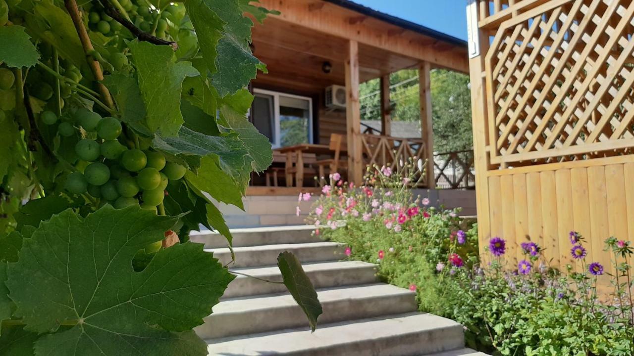 Гостьовий Дім На Герцена Guest Hous On Gertsena Hotel Novhorod-Siverskyi Buitenkant foto
